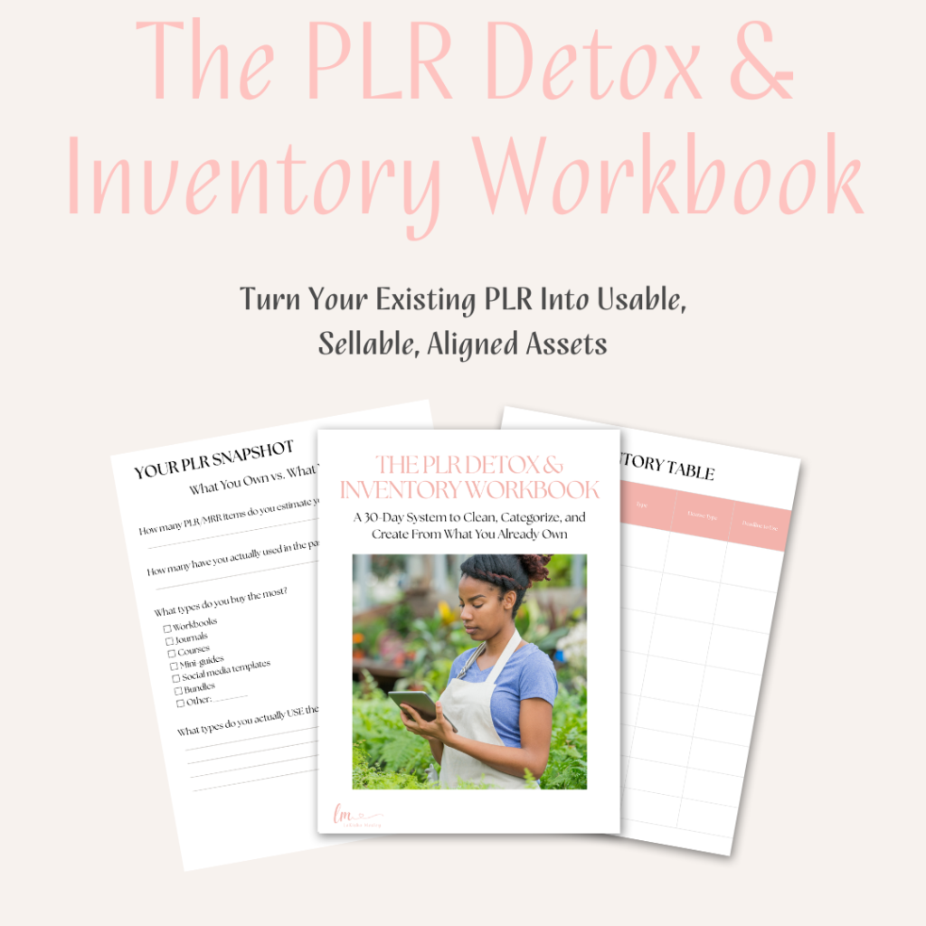 The PLR Detox & Inventory Workbook from LaKisha Mosley